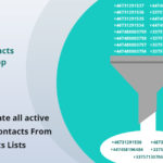 Easily Separate All Active WhatsApp Contacts From Bulk Contacts Lists